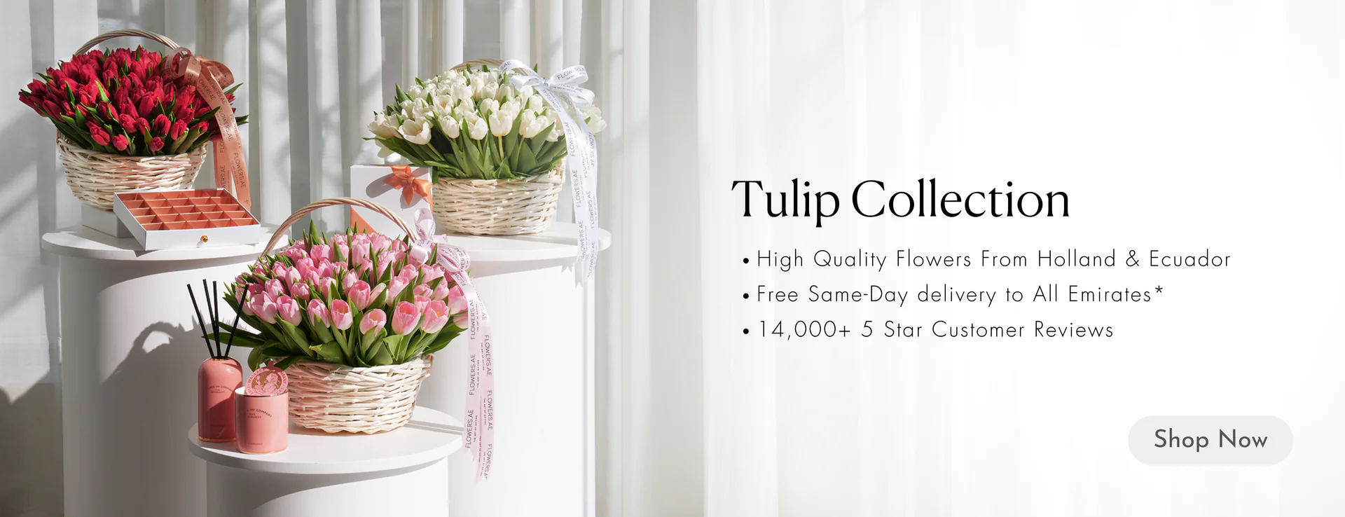 Exquisite Blooms, Delivered Today